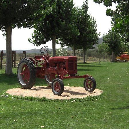 拉诺格拉露营地 Sant Llorenç de Montgai 外观 照片